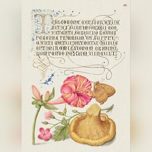 Medieval Vintage Botanical Illustration Art Print